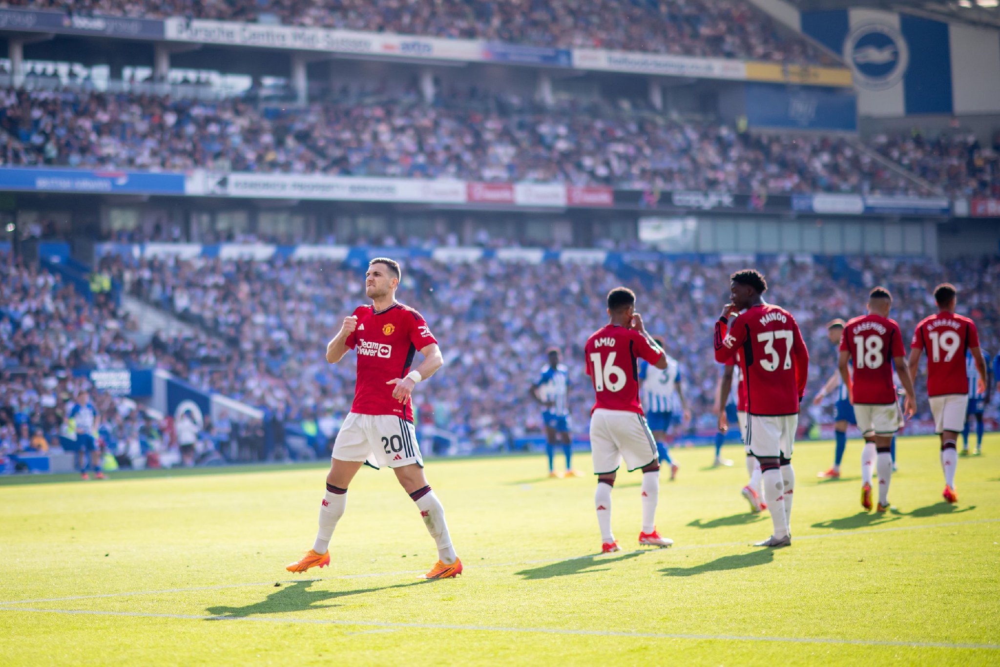 迷及分析家 迷及分析家