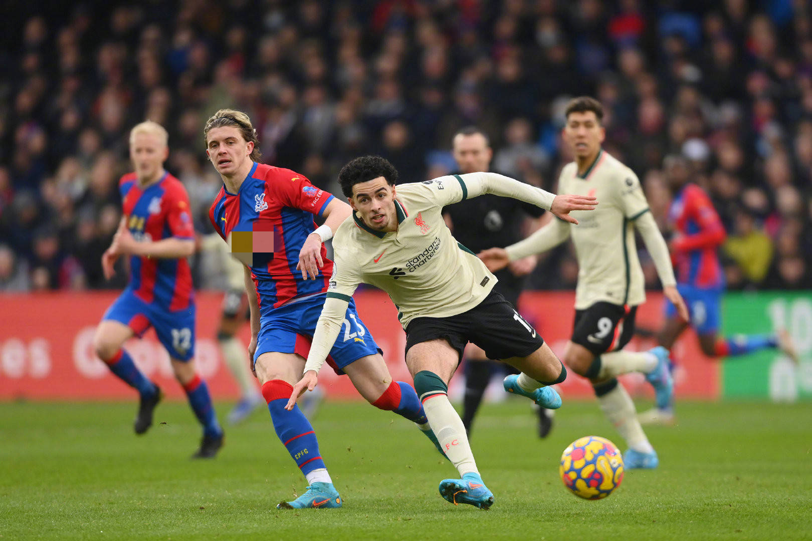 曾凡博的犹 曾凡博的犹